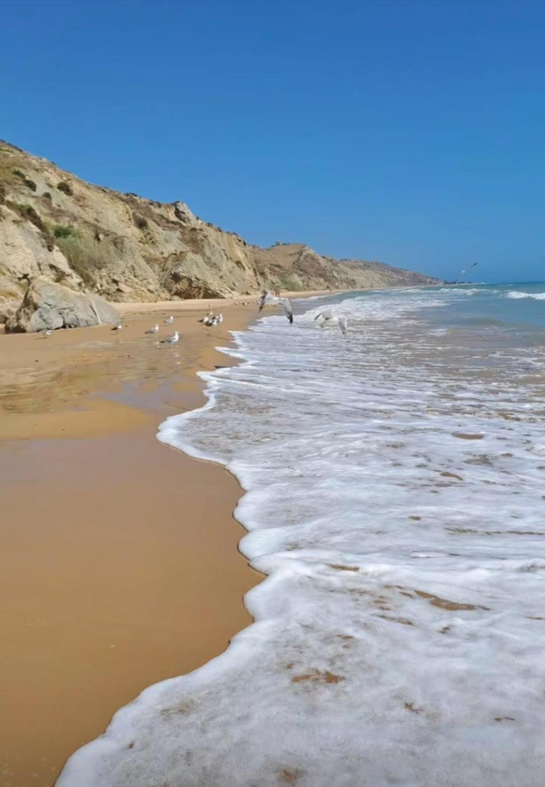 La Foggia Seaside Paradise 锡库利亚纳 外观 照片