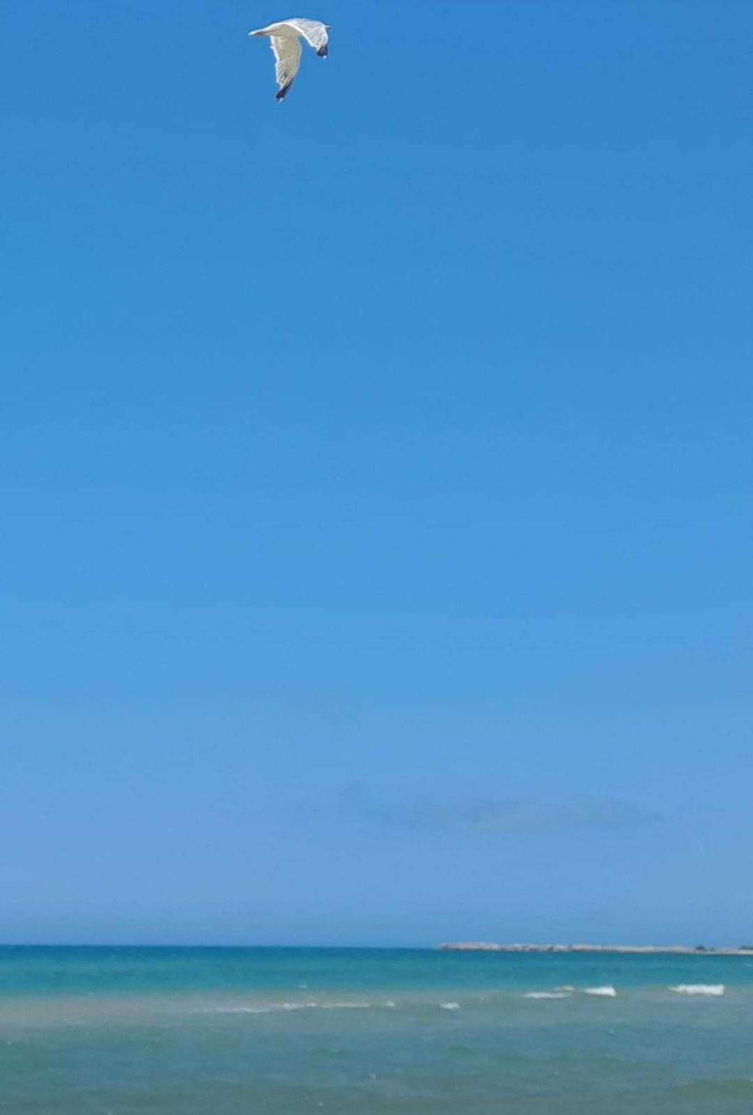 La Foggia Seaside Paradise 锡库利亚纳 外观 照片